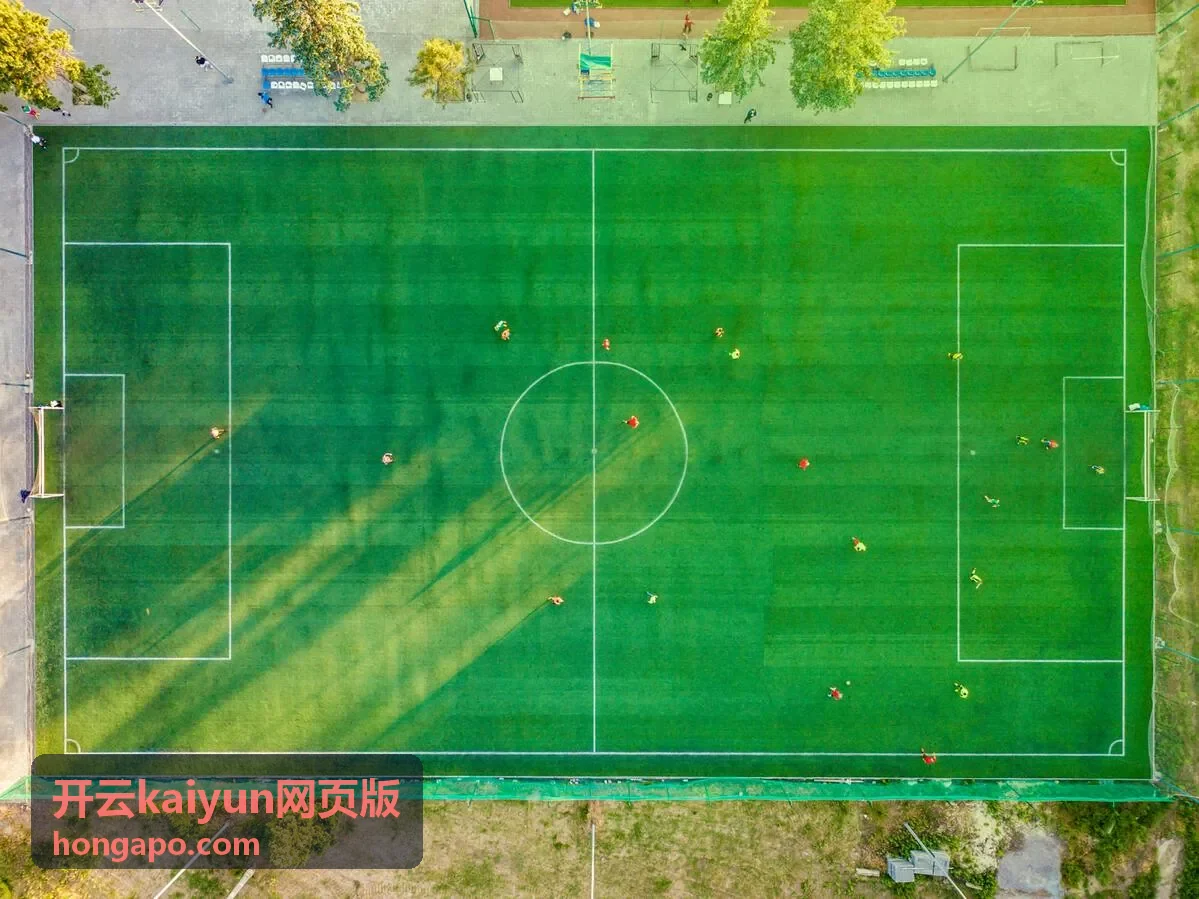 开云kaiyun网页版登录页面操作演示